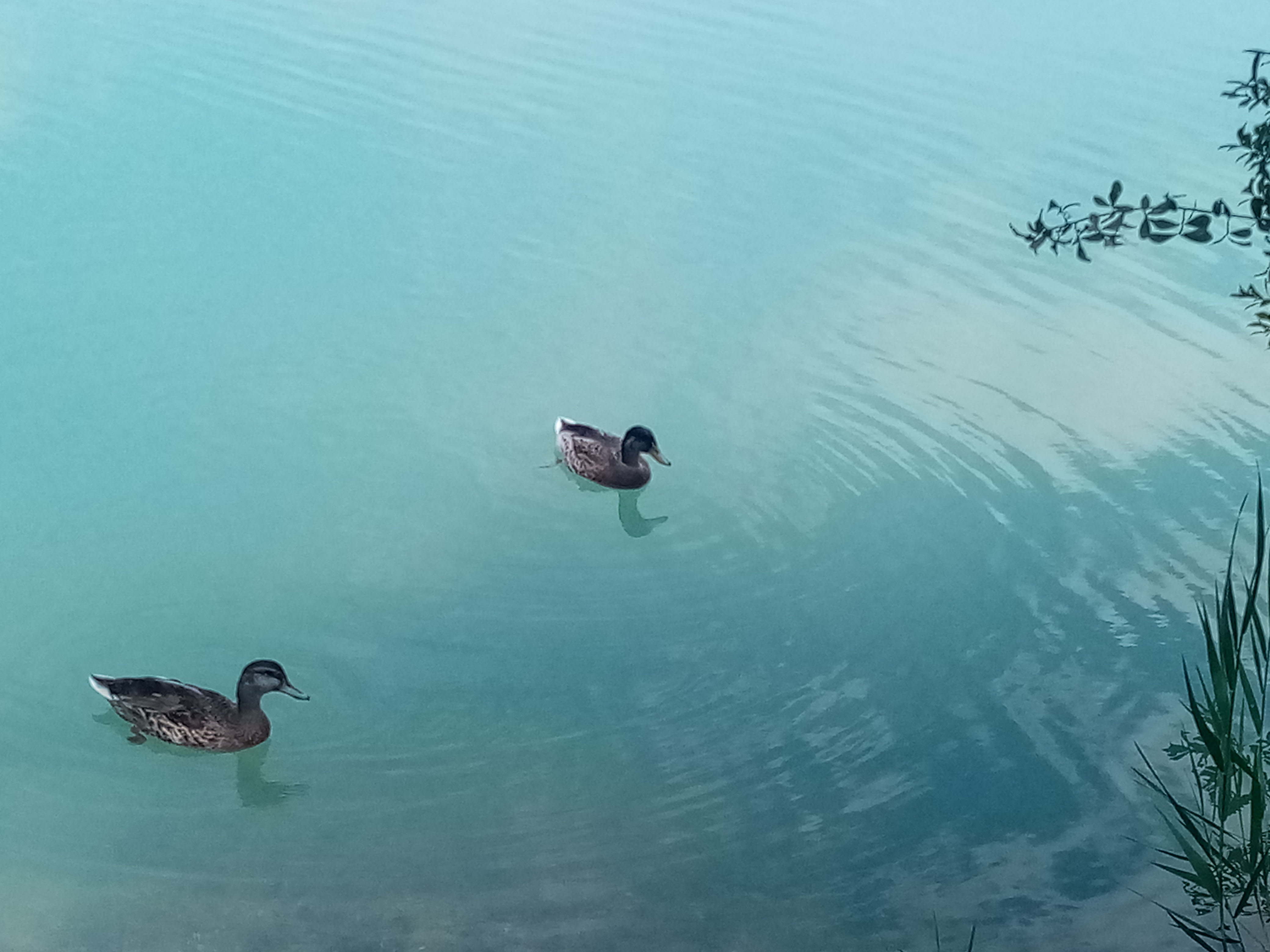 Photo n° 2 de l'avis de Carla.o fait le 02/08/2023 à 01:41