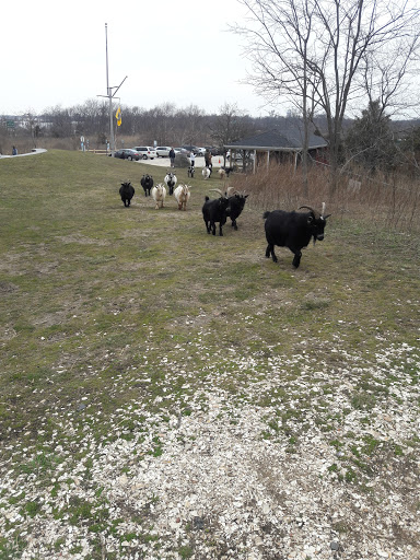 Golf Course «Merrick Golf Course», reviews and photos, 2550 Clubhouse Rd #1, Merrick, NY 11566, USA