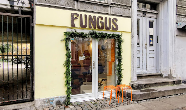Anmeldelser af Fungus i Nørrebro - Frisør