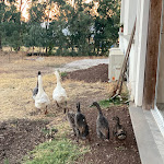 Photo n°3 de l'avis de ricky.e fait le 31/07/2022 à 14:10 sur le  Agriturismo Mura Uppulos à Pozzomaggiore