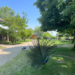 Photo n°4 de l'avis de Francesca.e fait le 10/05/2024 à 13:01 sur le  Cascina Sant'Ambrogio à Rosate