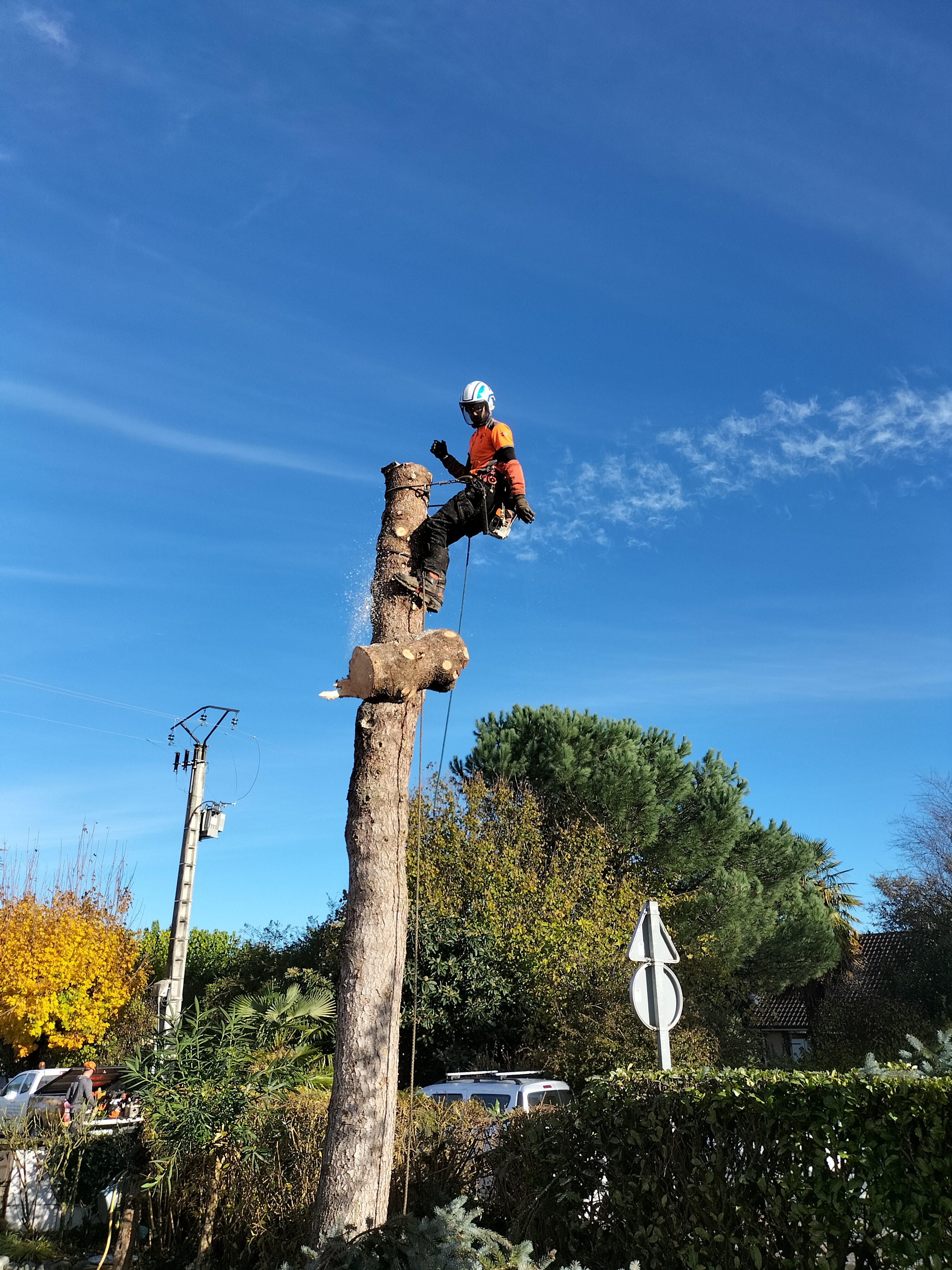 Photo n° 3 de l'avis de Alain.e fait le 30/11/2022 à 15:58
