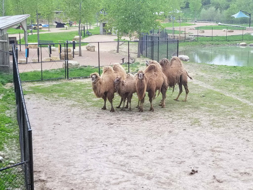 Zoo «Minnesota Zoo», reviews and photos, 13000 Zoo Blvd, Apple Valley, MN 55124, USA