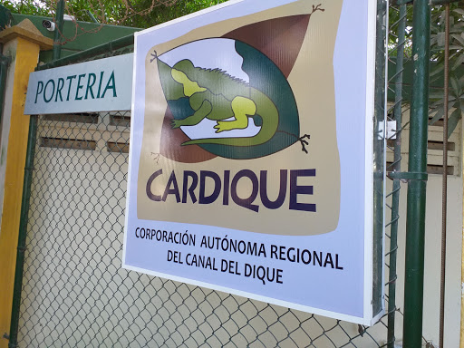 Cardique Cartagena