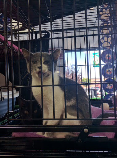 Pet Supply Store «Pet Valu», reviews and photos, 1024 Lititz Pike, Lititz, PA 17543, USA