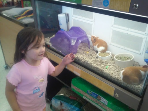 Pet Supply Store «Petco Animal Supplies», reviews and photos, 6137 Mid Rivers Mall Dr, St Charles, MO 63304, USA