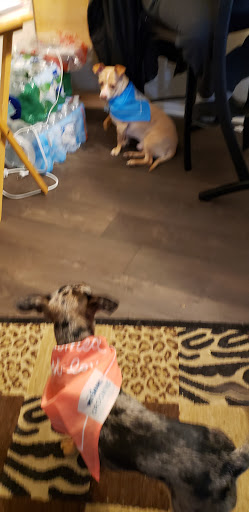 Pet Supply Store «PetSmart», reviews and photos, 3630 Peachtree Pkwy, Suwanee, GA 30024, USA