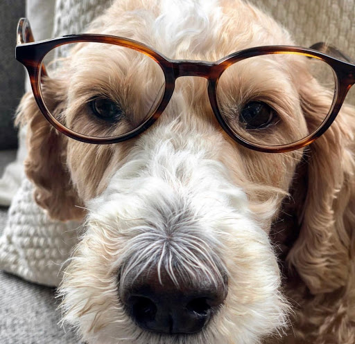Optician «Warby Parker Annex», reviews and photos, 817 NW 23rd Ave, Portland, OR 97210, USA
