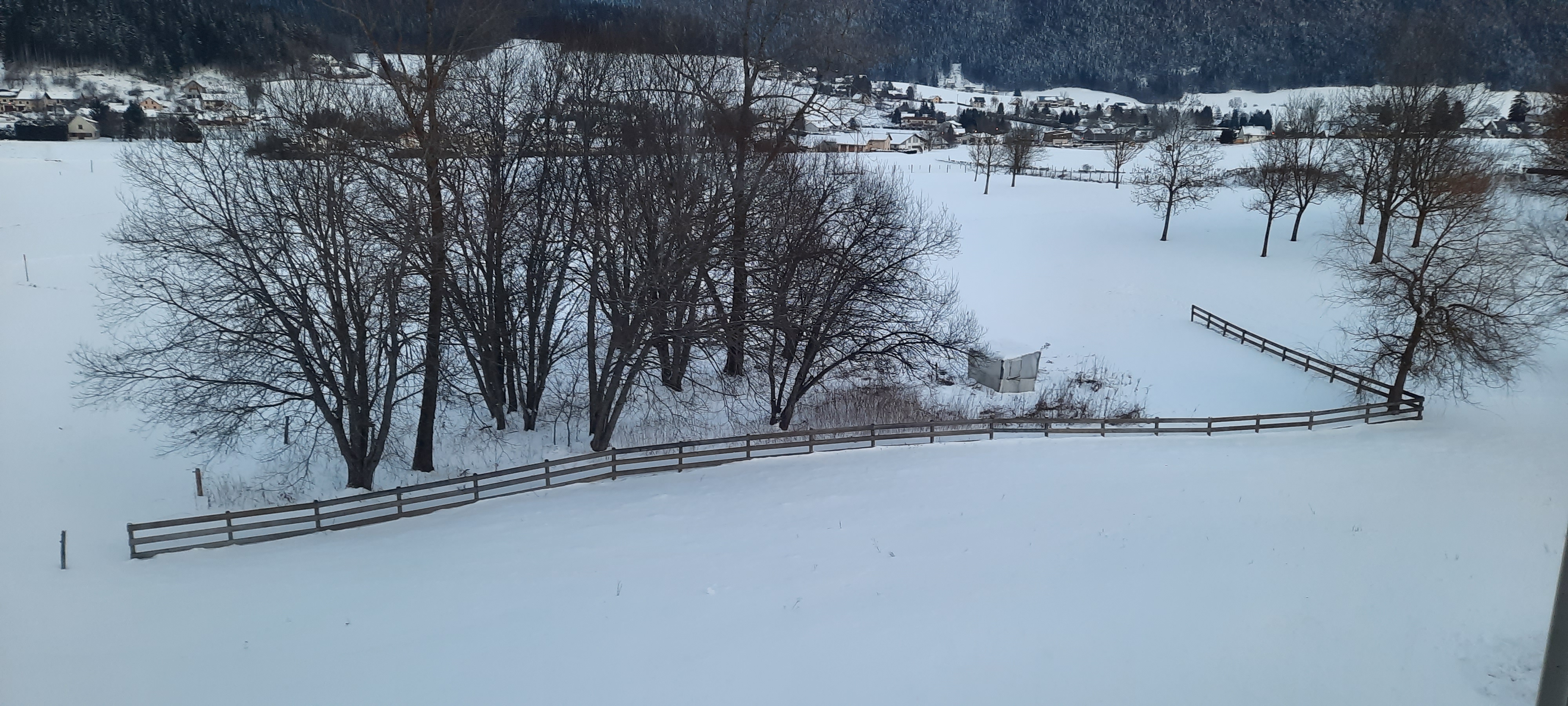 Photo n° 5 de l'avis de Stephane.o fait le 21/01/2023 à 07:55