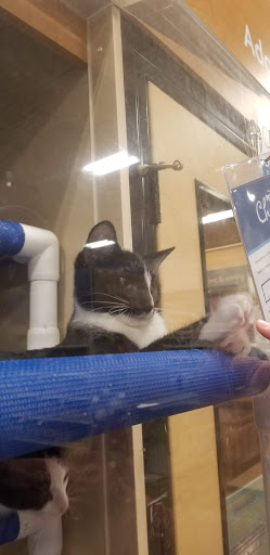 Pet Supply Store «PetSmart», reviews and photos, 3 McKenna Rd, Arden, NC 28704, USA