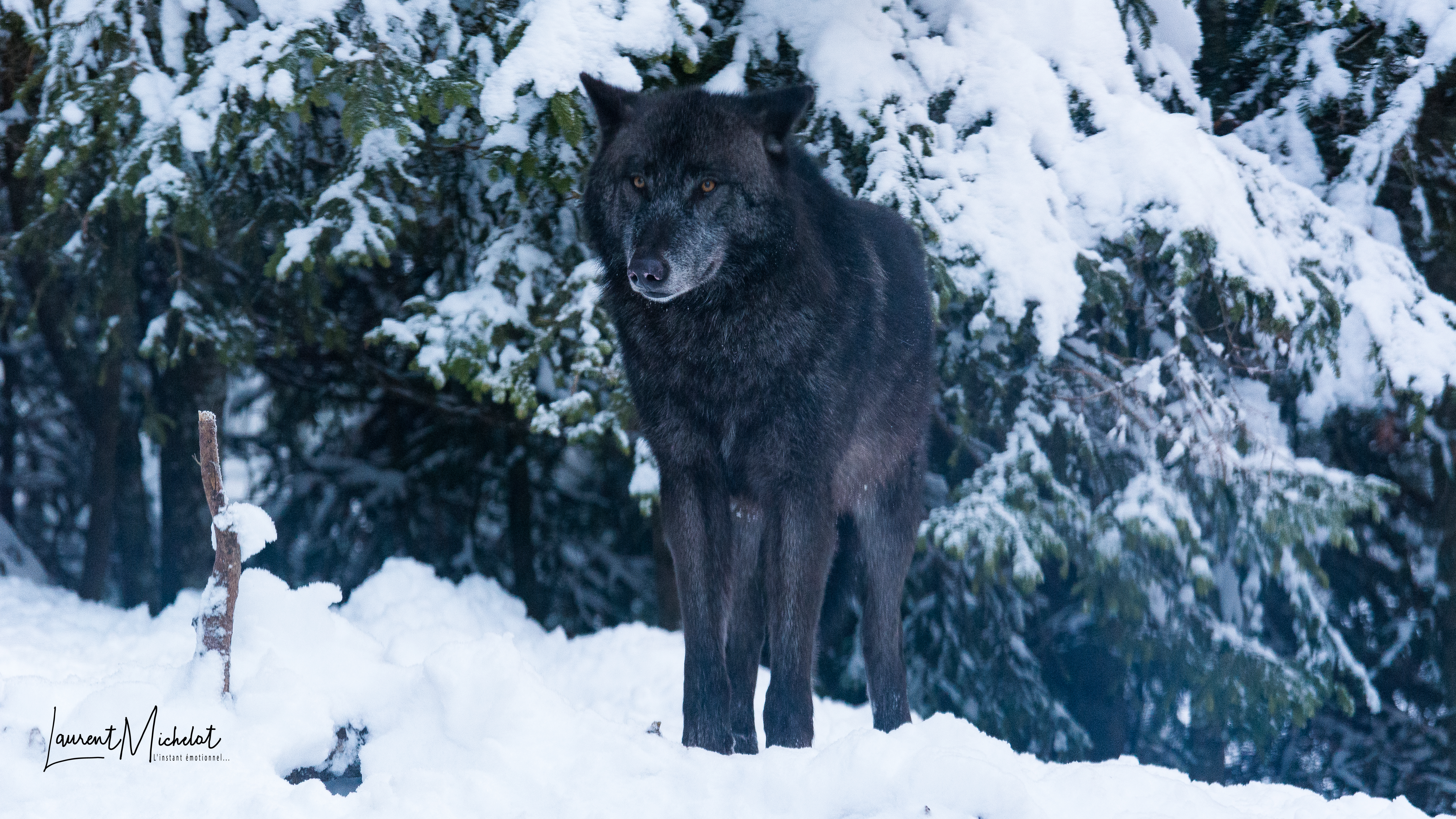 Photo n° 1 de l'avis de Laurent.i fait le 30/01/2018 à 08:30