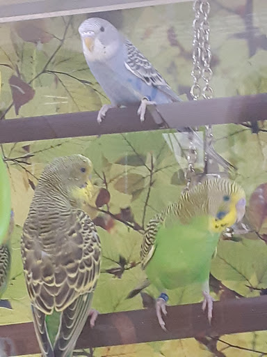 Pet Supply Store «PetSmart», reviews and photos, 9450 SE 82nd Ave, Portland, OR 97086, USA