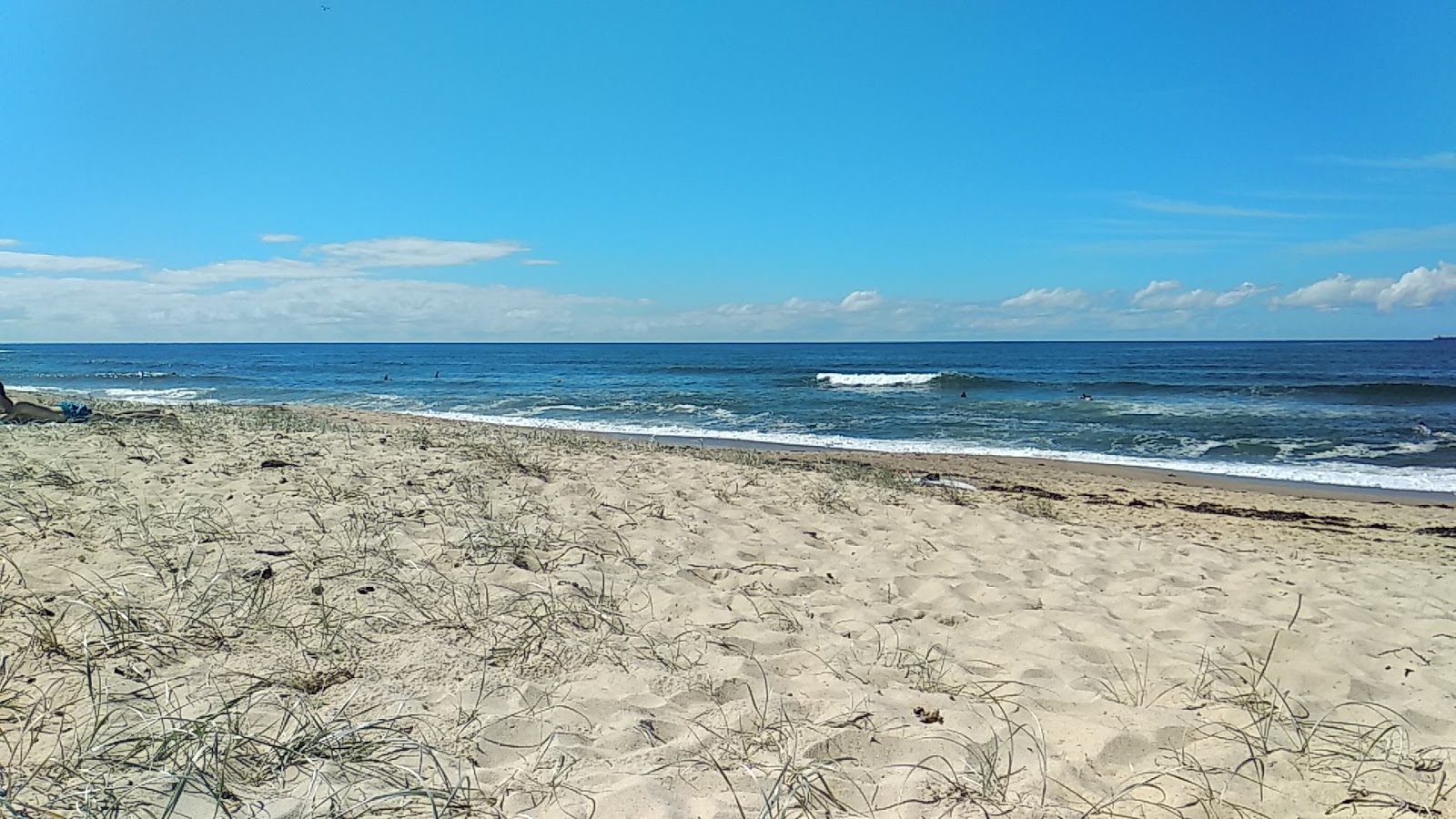 Photo de Dudley Beach situé dans une zone naturelle