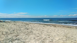Zdjęcie Dudley Beach położony w naturalnym obszarze