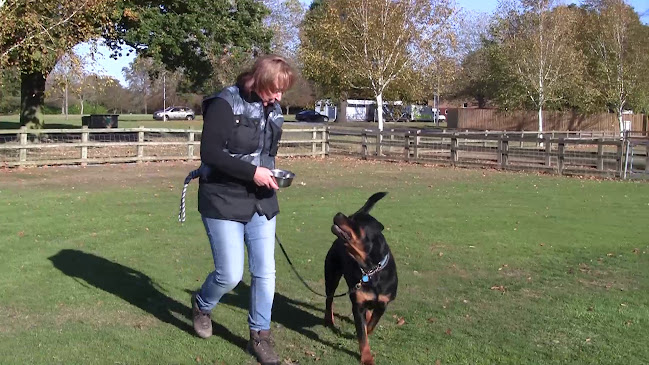 Reviews of Vicky Lawes @ LawesPaws in Watford - Dog trainer