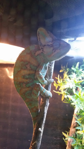 Pet Supply Store «CountryMax - Spencerport», reviews and photos, 4658 W Ridge Rd, Spencerport, NY 14559, USA