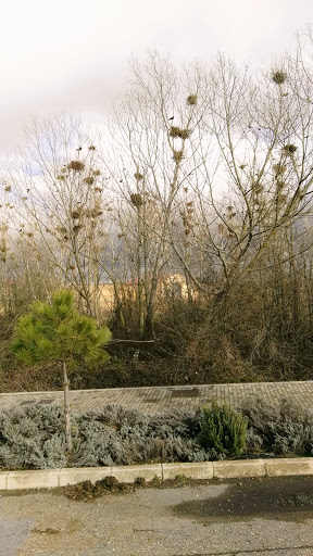 Colegio Público de Villadangos, Institución educativa pública en Villadangos del Páramo,León