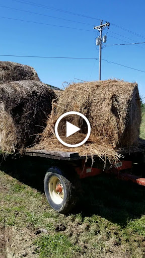 Beauty Supply Store «Hair Gold Beauty Supply», reviews and photos, 401 Salem Ave, Dayton, OH 45406, USA