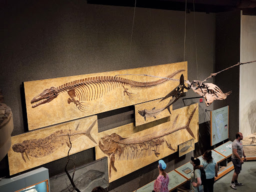 Natural History Museum «Denver Museum of Nature & Science», reviews and photos, 2001 Colorado Blvd, Denver, CO 80205, USA