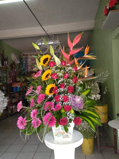 Floreria Del Centro – Temascalcingo