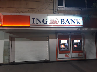 Ing Bank Siirt