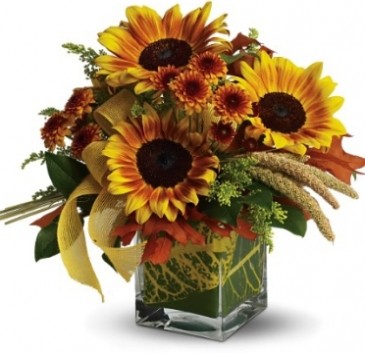 Florist «A Touch of Elegance Florist», reviews and photos, 360 S Franklin Ave, Belleville, NJ 07109, USA