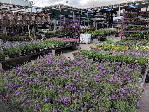 Sporting Goods Store «Academy Sports + Outdoors», reviews and photos, 16610 Southwest Fwy, Sugar Land, TX 77479, USA