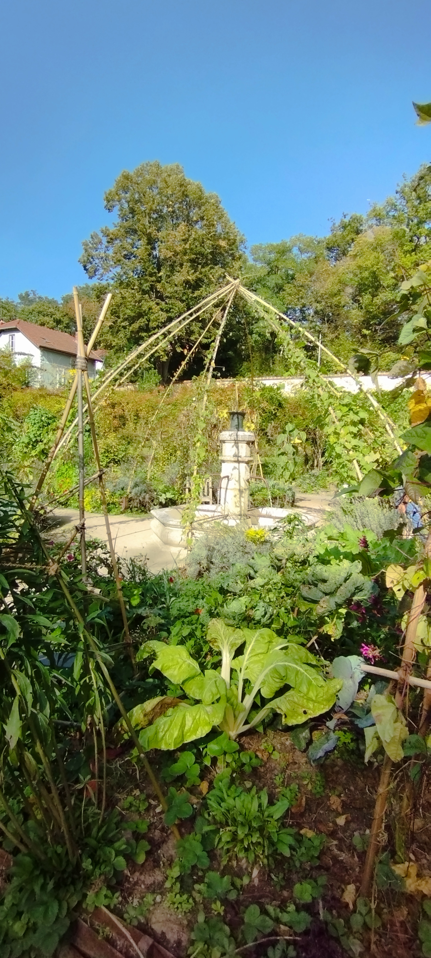 Photo n° 4 de l'avis de Guy.O fait le 08/10/2023 à 14:43
