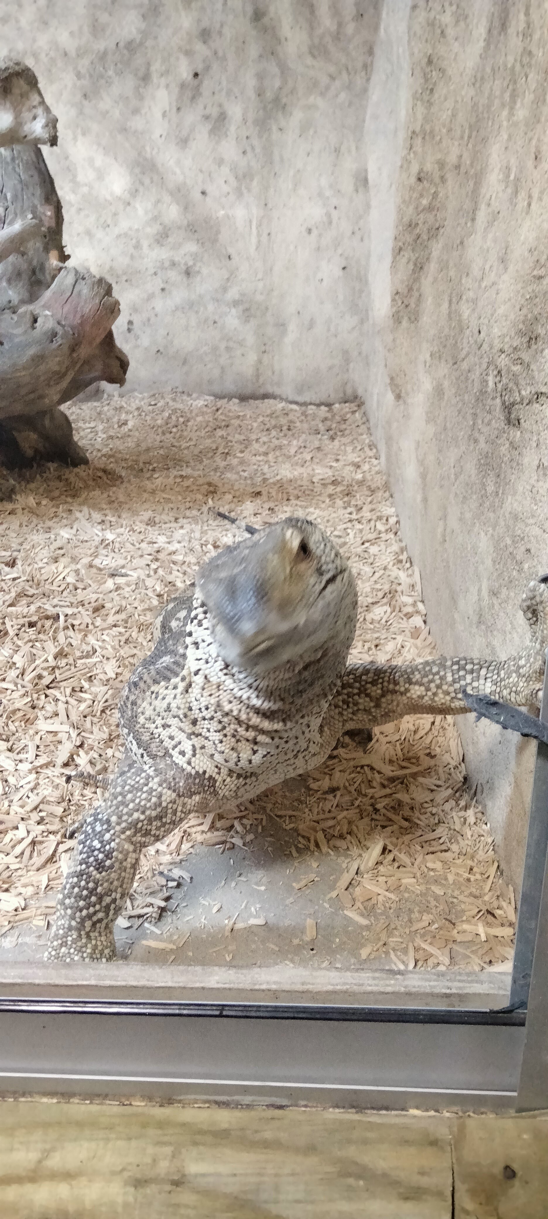 Photo n° 3 de l'avis de Dany.u fait le 19/03/2023 à 19:21