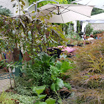 Photo n°5 de l'avis de Frank.e fait le 24/06/2018 à 18:22 sur le  Klosterschänke Höningen à Altleiningen