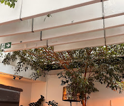 SWANE Design CAFÉ photo