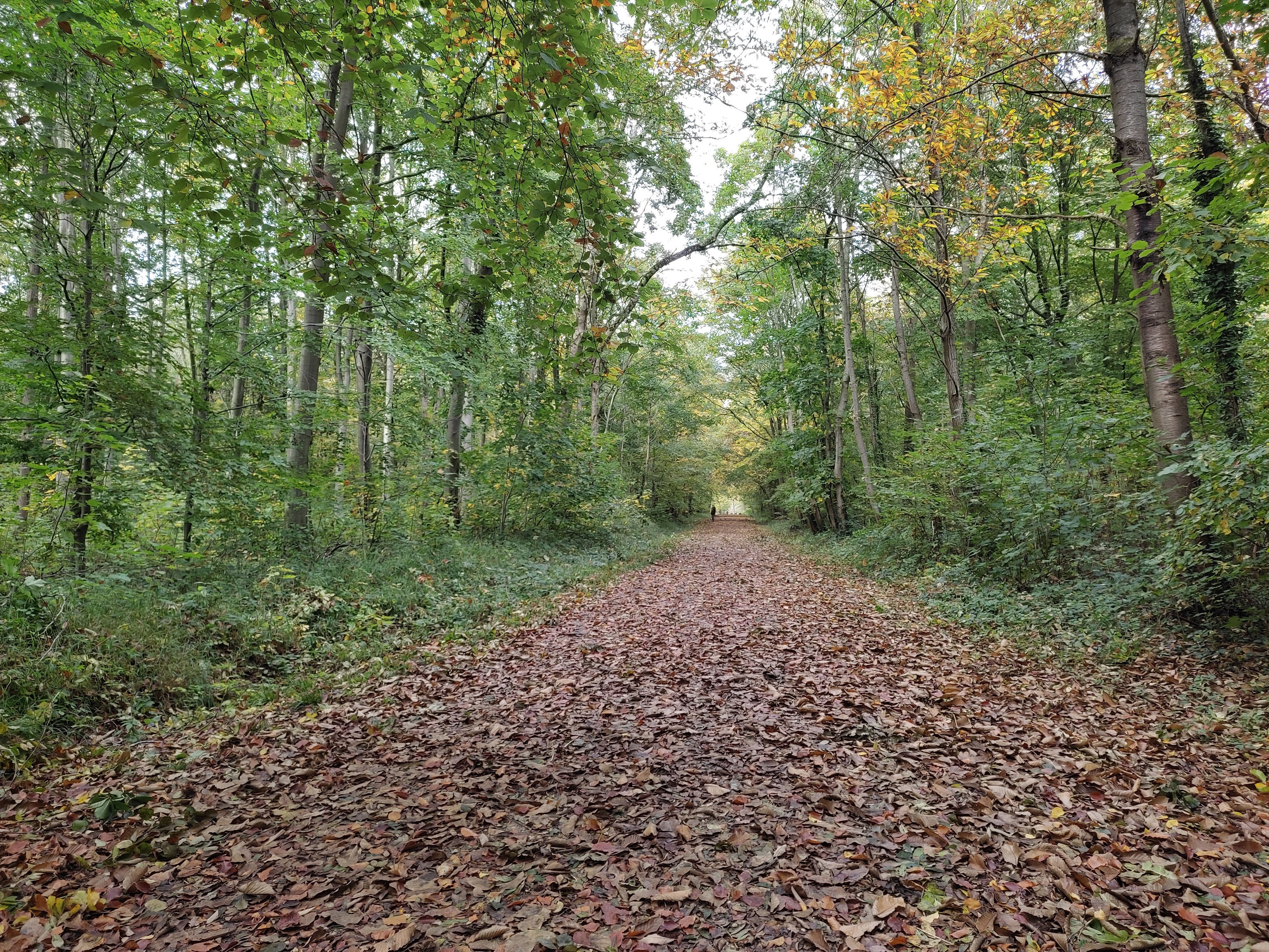 Photo n° 2 de l'avis de Sabine.a fait le 02/11/2021 à 16:37