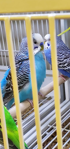 Pet Supply Store «Pet Supplies Plus», reviews and photos, 1810 Declaration Dr, Independence, KY 41051, USA