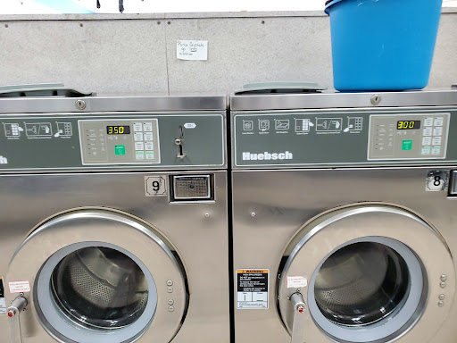 Dolphin Laundry