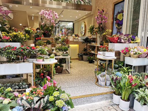 Cheap flower stores Hong Kong