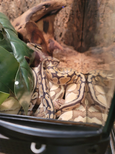 Pet Store «Fish & More Pet Store», reviews and photos, 310 E Main St #8, Sylva, NC 28779, USA