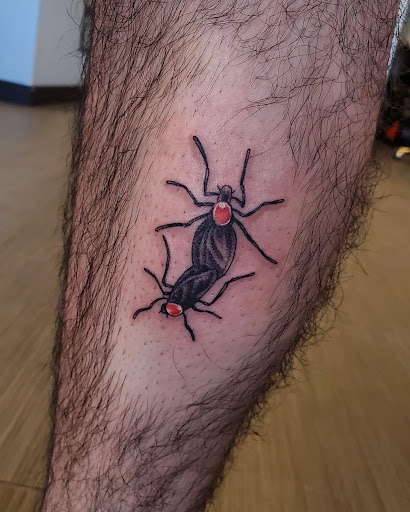 Explore myrtle beach tattoo ideas, creative tattoo ideas in Palm Harbor, available at Angry Owl Tattoo and Piercing