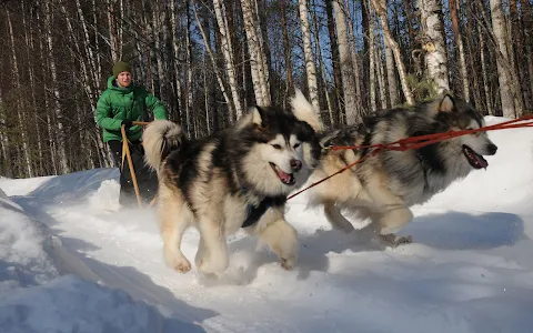 Husky-Park image