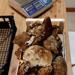 Photo n°3 de l'avis de Be. fait le 09/10/2022 à 06:16 sur le  Ristorante Manubiola à Berceto