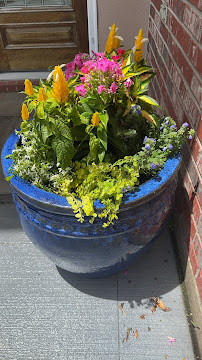 Clearview Plant and Garden, LLC - Photo 9 - Car repair in Metairie, LA, Metairie