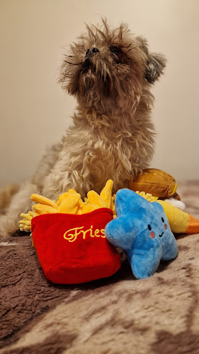 Petshop Shilla UG unter Böblingen, 