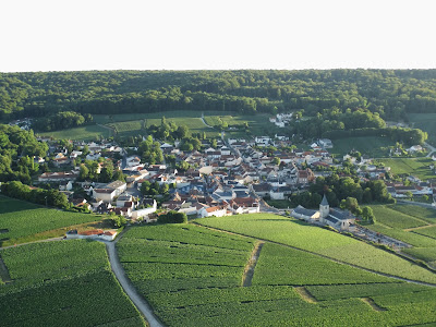 Champagne Rafflin-Lepitre à Chigny-les-Roses
