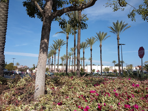 Pet Supply Store «Petco Animal Supplies», reviews and photos, 12601 Towne Center Dr, Cerritos, CA 90703, USA