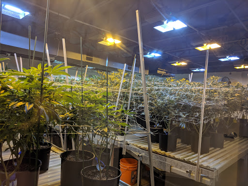 Hotel «My 420 Tours», reviews and photos, 3881 Steele St, Denver, CO 80205, USA