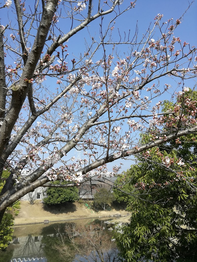 加古川ウェルネスパーク 兵庫県加古川市東神吉町天下原 公園 グルコミ