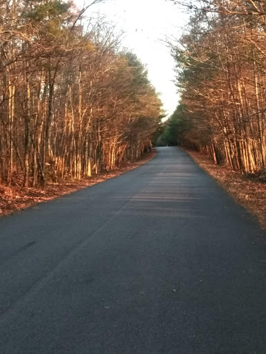 Nature Preserve «Copicut Woods», reviews and photos, Indian Town Rd, Westport, MA 02790, USA