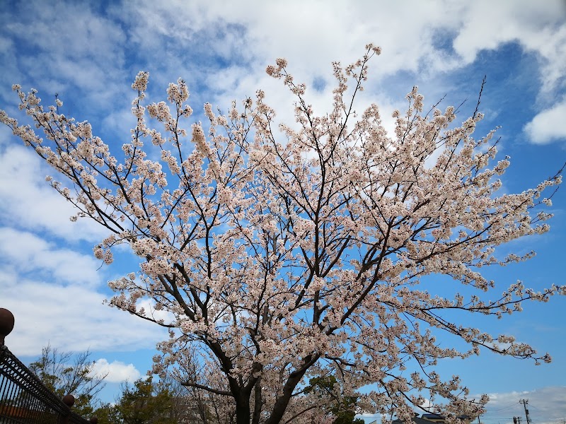 藤江北中央公園