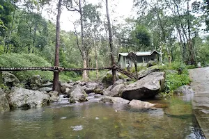 Elimbileri, Rain Forest Resort. image