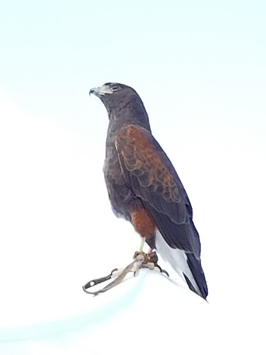 Nature Preserve «Audubon Greenwich», reviews and photos, 613 Riversville Rd, Greenwich, CT 06831, USA