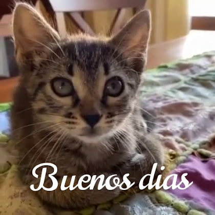 Photo Holiday apartment rental Holidays Almeria 04638 Mojacar Playa